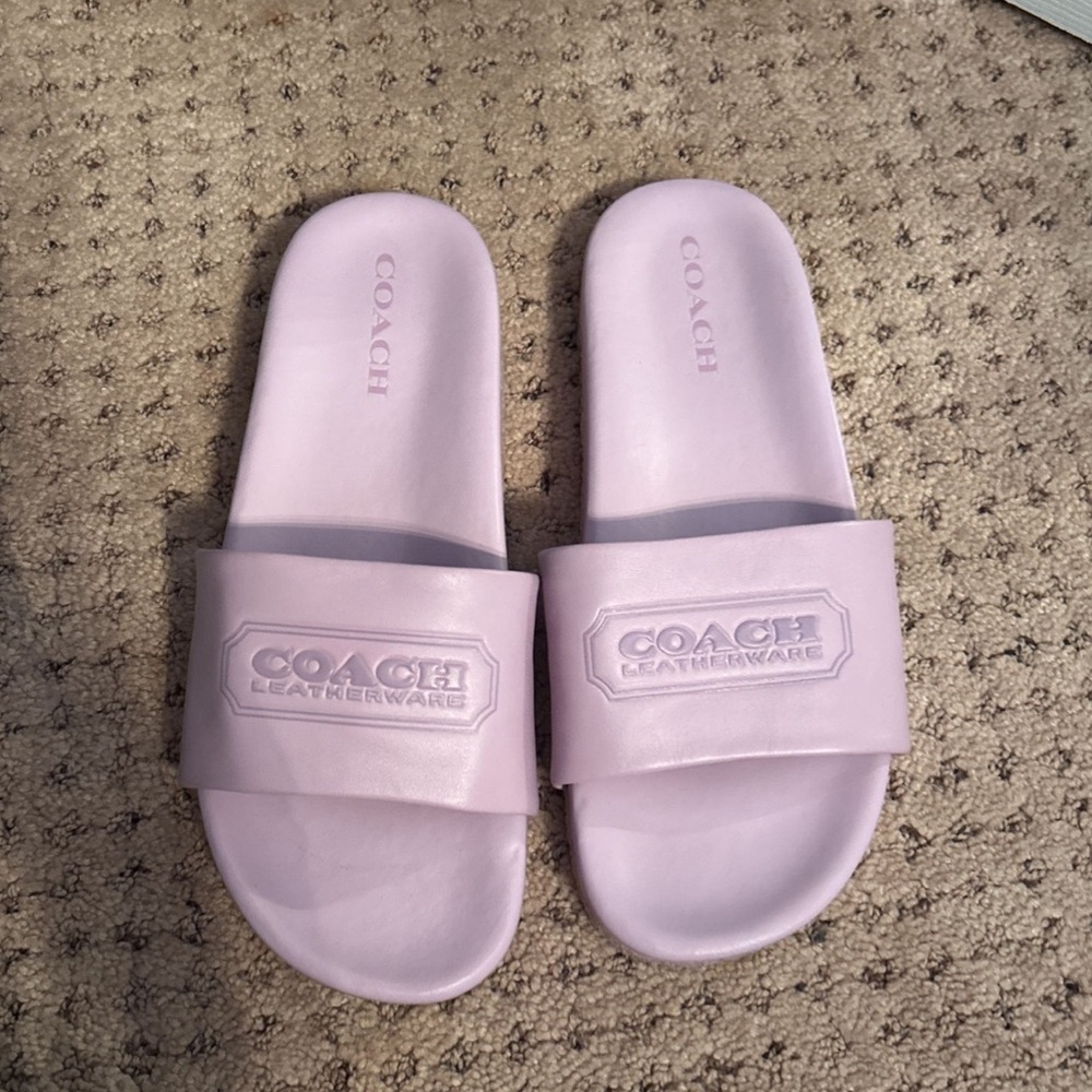 Purple Coach Slides